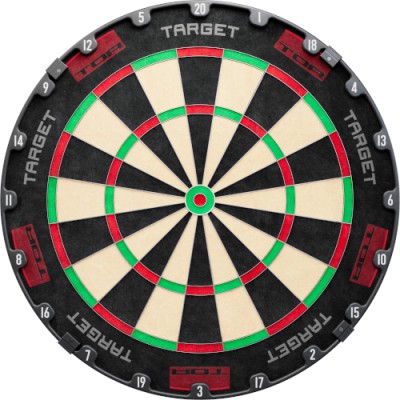 Dartboard Bristle Target Tor